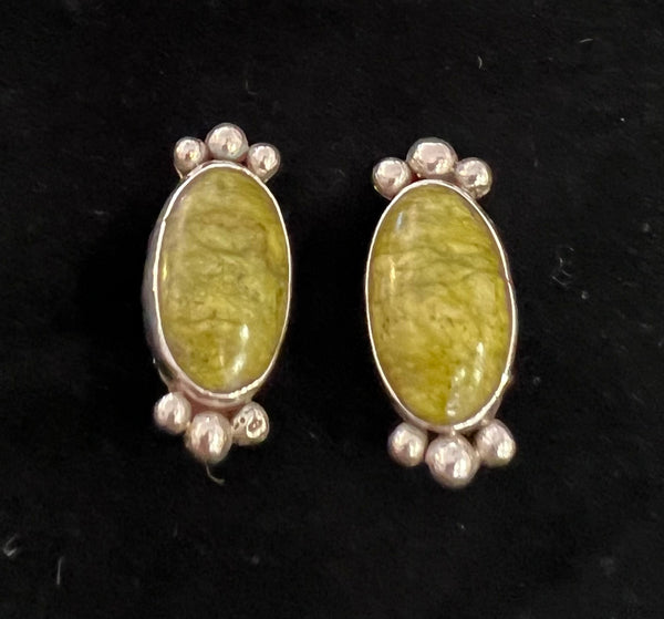Green Turquoise Clip On Earring