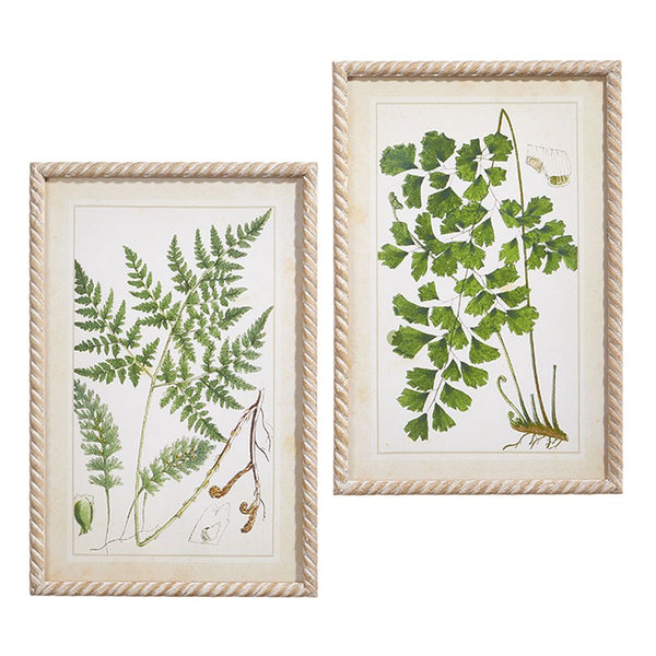 23.5" Botanical Greenery Framed Print